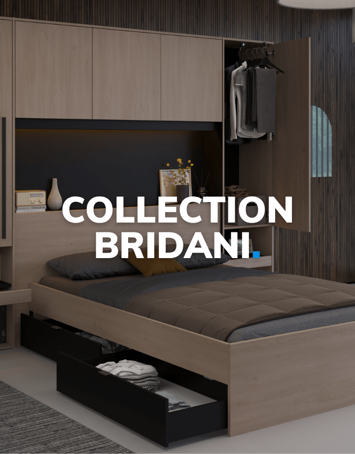 BRIDANI_-_MOBILE_-_FR