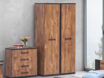 Armoire ELENAS 2 portes acacia